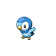 Piplup