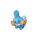 Mudkip